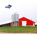 Qingdao steel structure commercial poultry chicken house fabricated sheds for sale